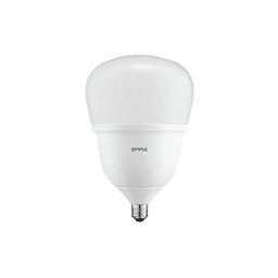 https://admin.bangunanxpress.com/storage/2476/DS-OPPLE-LED-ECO-SAVE-HPB-E27-18W-6500K-CT.png color option