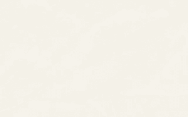 KIA WT PAPAGAYO SERIES 25X40 KW1